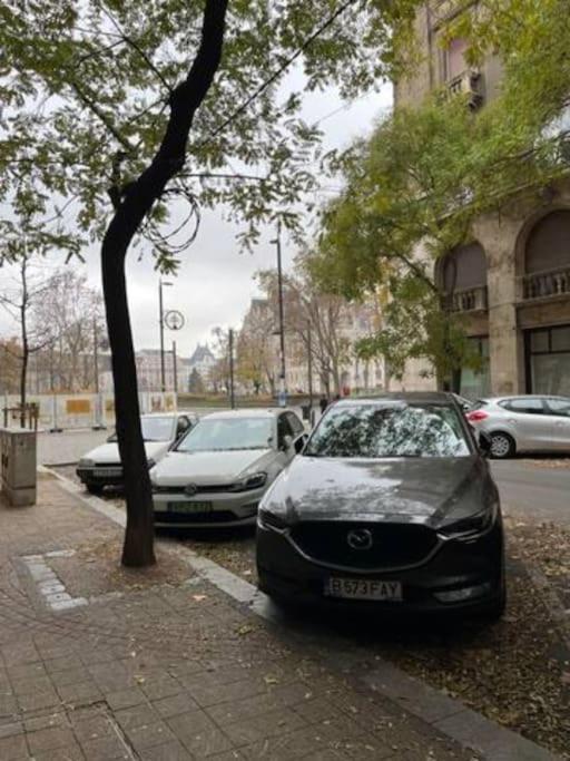 A13 Parliament Sunflower Cozy Apartment Budapest Luaran gambar