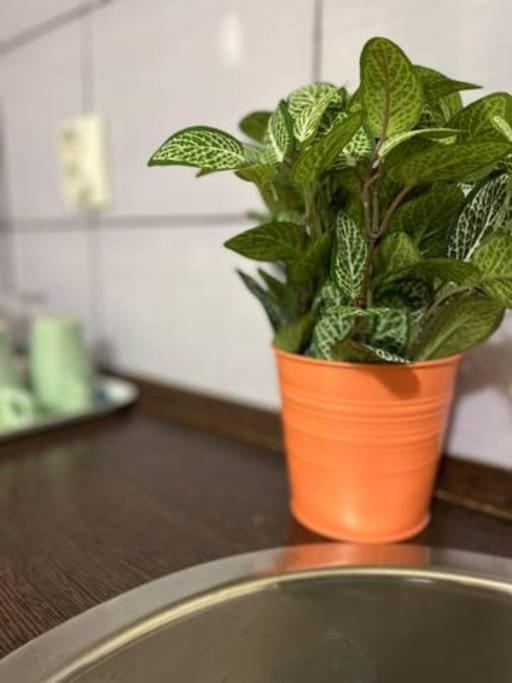 A13 Parliament Sunflower Cozy Apartment Budapest Luaran gambar