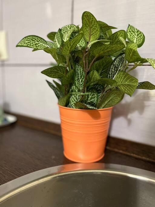 A13 Parliament Sunflower Cozy Apartment Budapest Luaran gambar